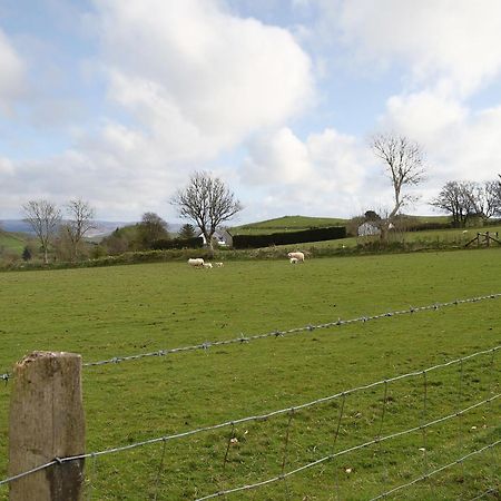 Bryntrisant Villa Devils Bridge Exterior foto